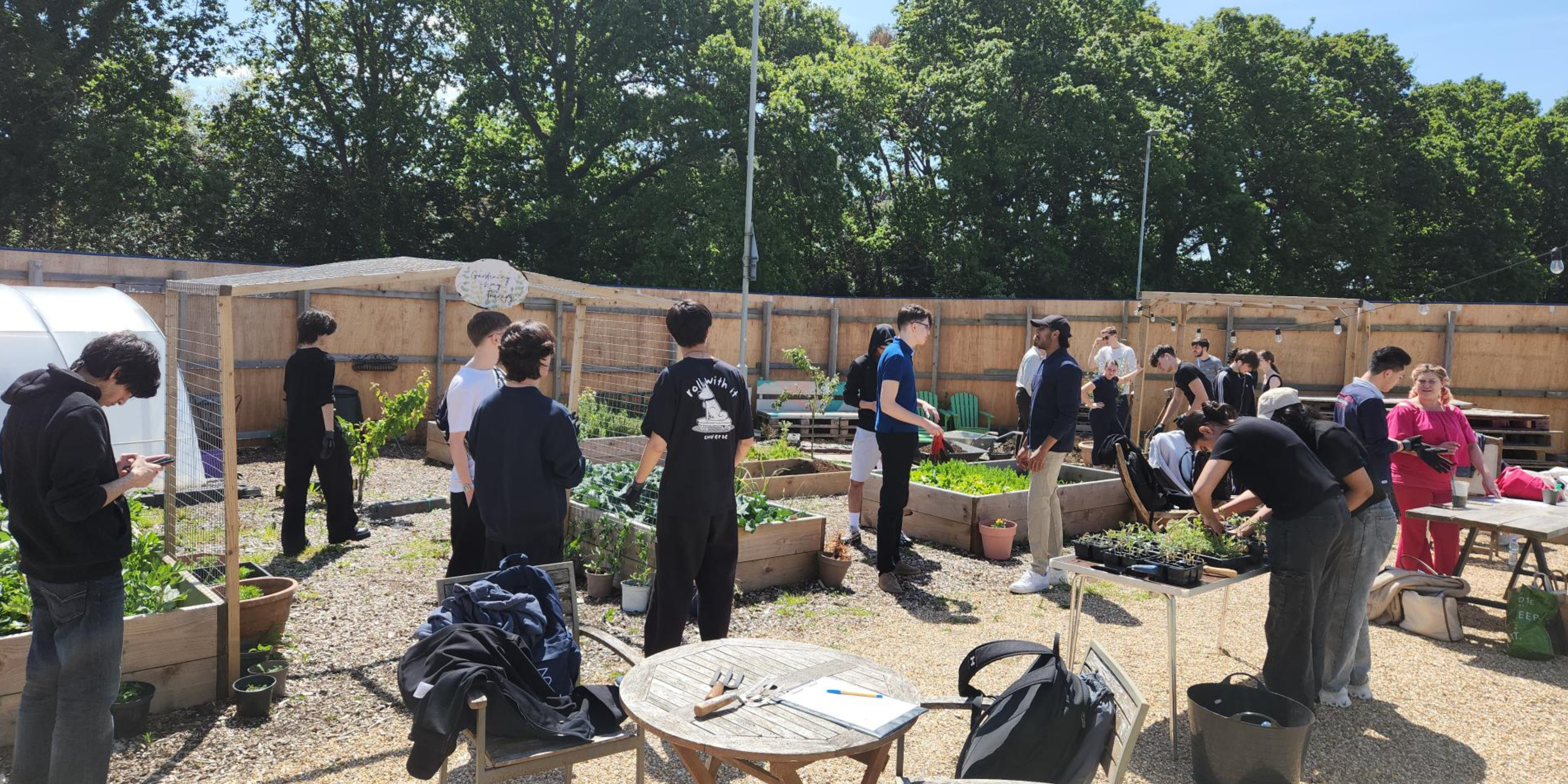 A group of students gardening