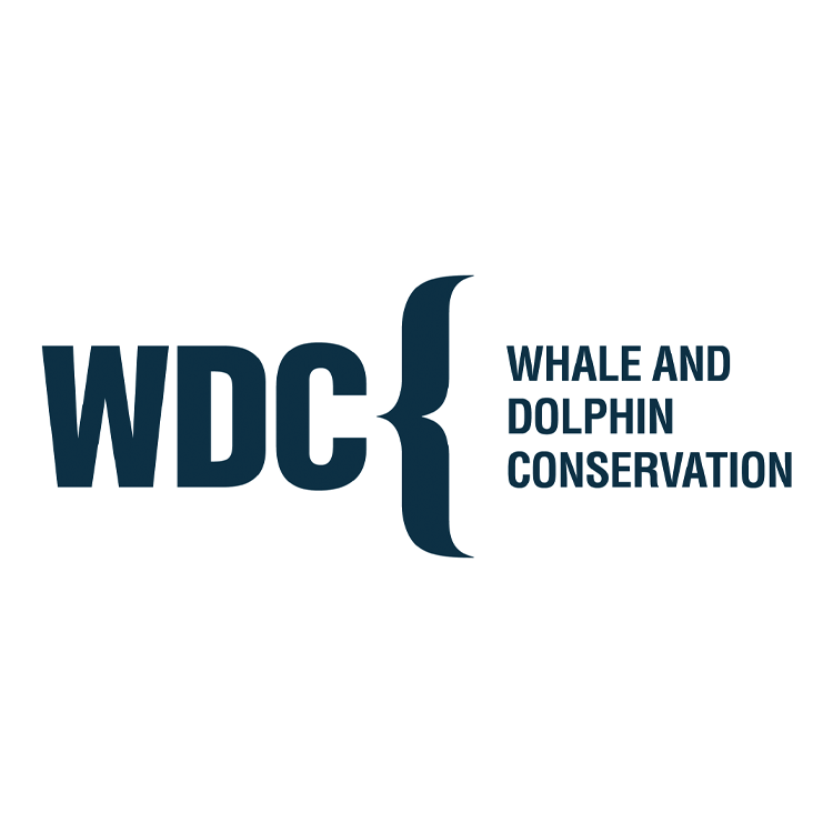 WDC, Whale and Dolphin Conservation